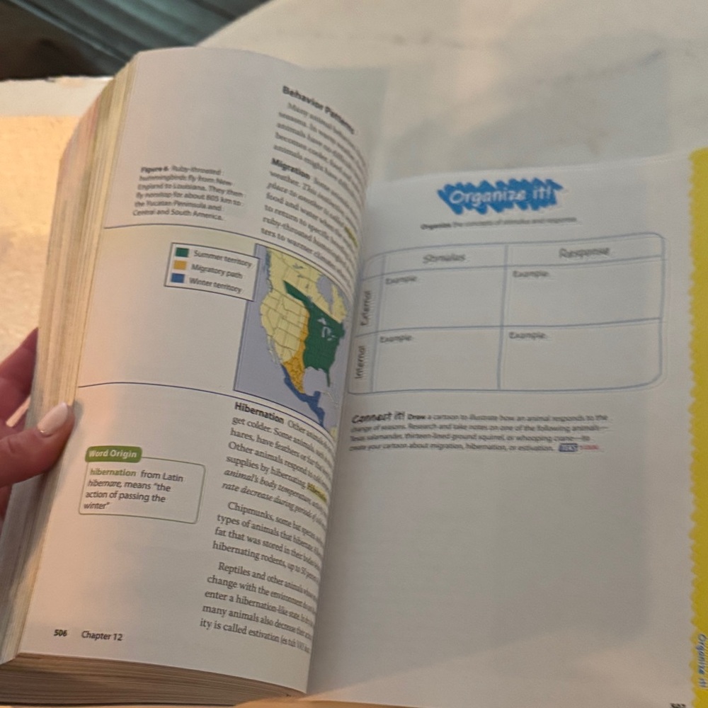 Colorful Chameleon Reptile Book - Picture 10 of 16